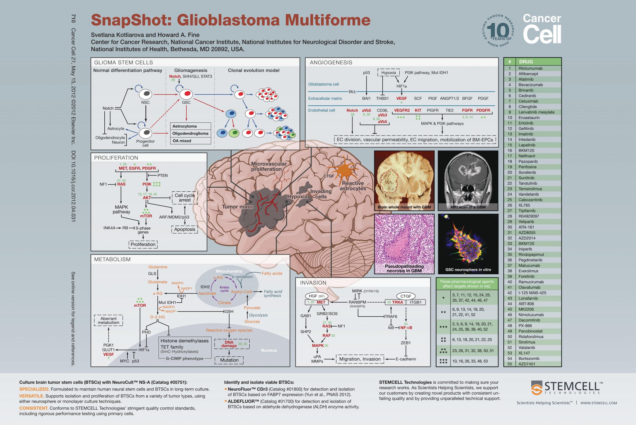Glioblastomas Multiforme: GBM - Dr Prem Pillay